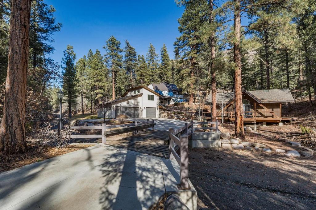 a house in the middle of a forest at 895 County Road 206 in Durango