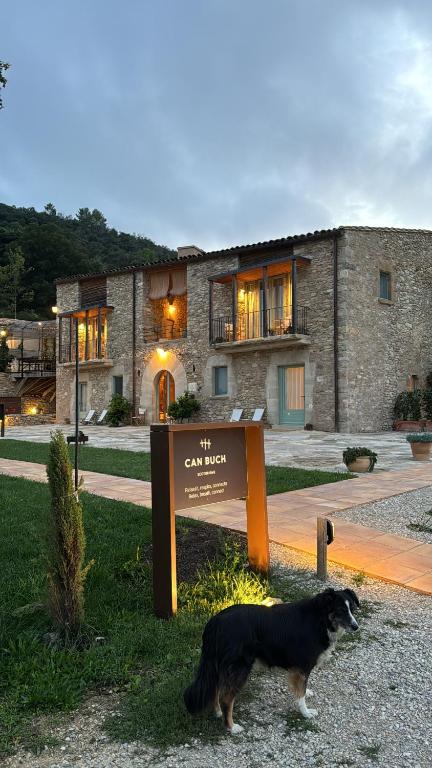 Domácí mazlíčci ubytovaní s hosty v ubytování ECOTurisme Can Buch HOTEL
