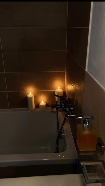 Koupelna v ubytování Vila sauna Plzeň apartmány Plzeň Zbůch