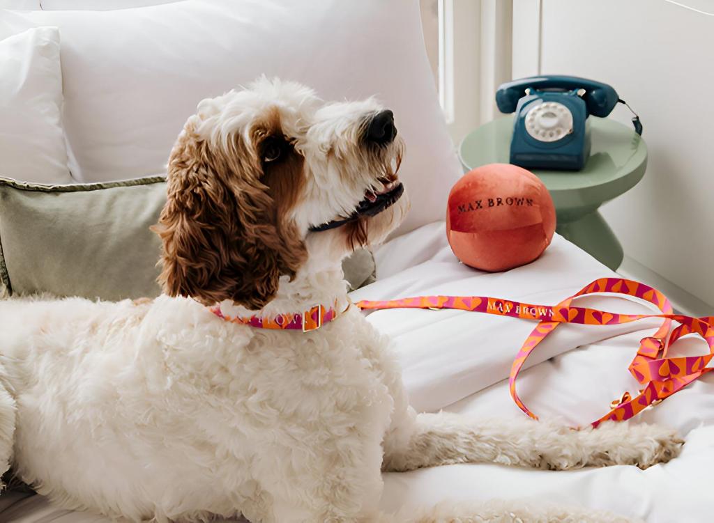 Max Brown Hotel Museum Square, part of Sircle Collection - Resim 26