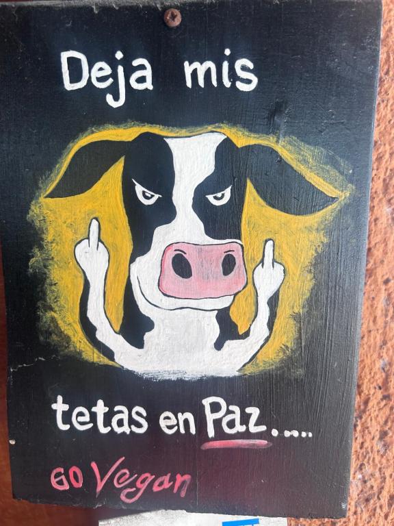 Photo de la galerie de l'établissement Celogementnexisteplus, à Ploemeur