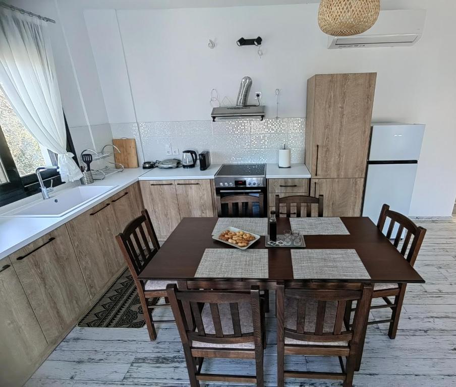 Kuchyň nebo kuchyňský kout v ubytování Villa Maximos