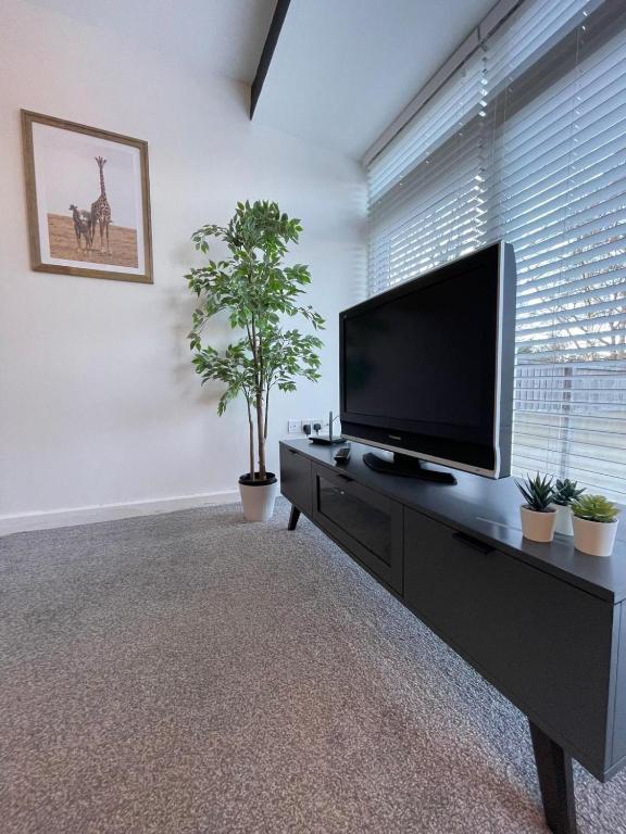 a living room with a flat screen tv on a table at Harborne Park House in Birmingham