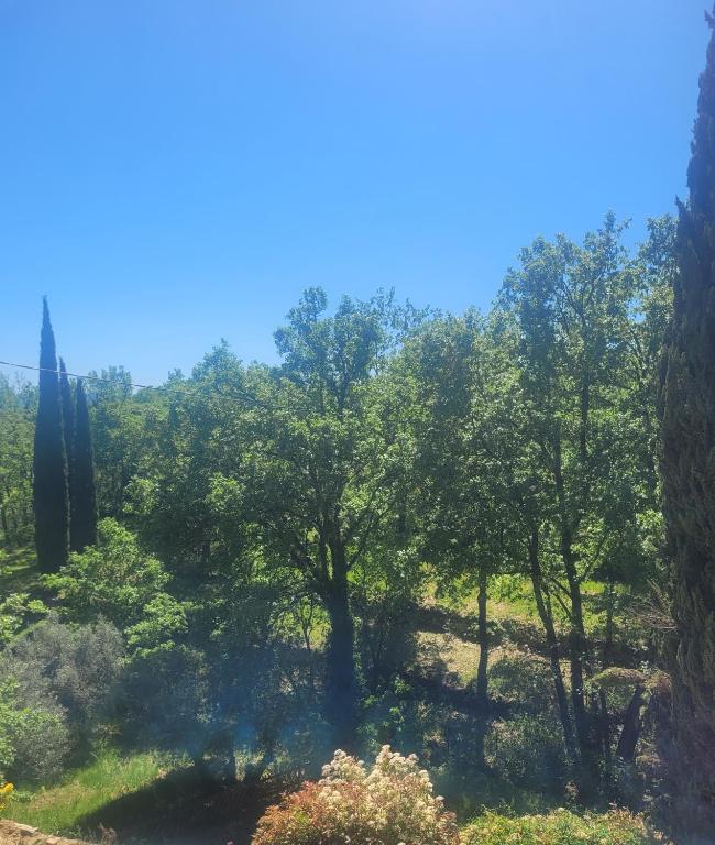 - une vue sur une forêt plantée d'arbres et de buissons dans l'établissement Le mas Les Salamandres, à Lorgues