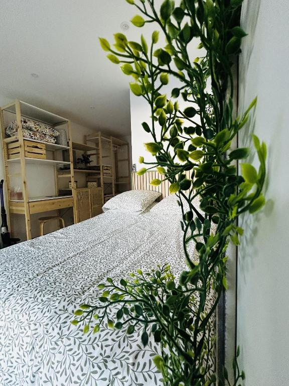 - une chambre avec un lit et une plante dans l'établissement Studio chaleureux et cosy à 10 minutes de la plage, à Sanary-sur-Mer