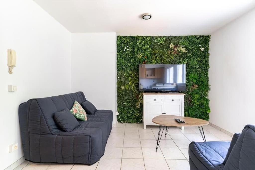 a living room with two couches and a green wall at Geneva Green Studio in Gaillard