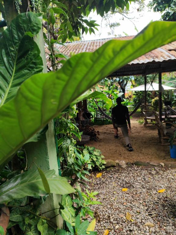 Jardín al aire libre en Posada Maná