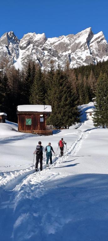 Traumapartment Murmeltier Tirol v zime