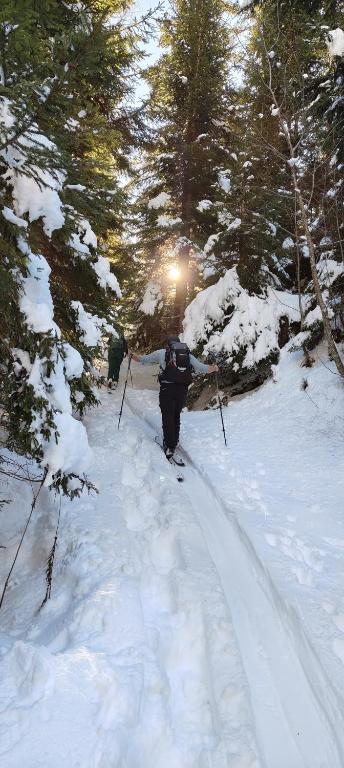 Traumapartment Murmeltier Tirol v zime