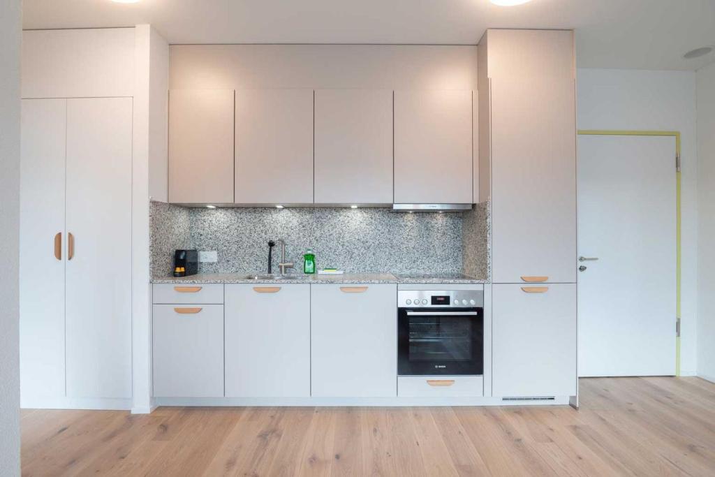 Kuchyňa alebo kuchynka v ubytovaní HITrental Letzigrund - Apartment
