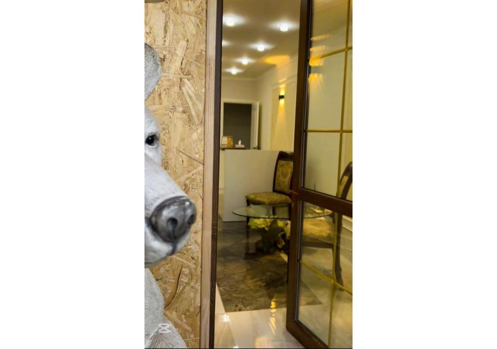 فضای داخلی METROMIR Hotel در ایروان - تصویر ۳