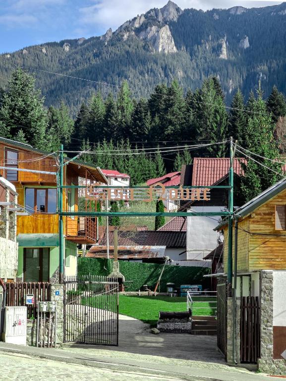 a group of buildings with a mountain in the background at Pensiunea Novac in Durău