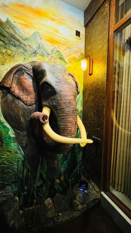 Fotografie z fotogalerie ubytování Vibe Ella v destinaci Ella