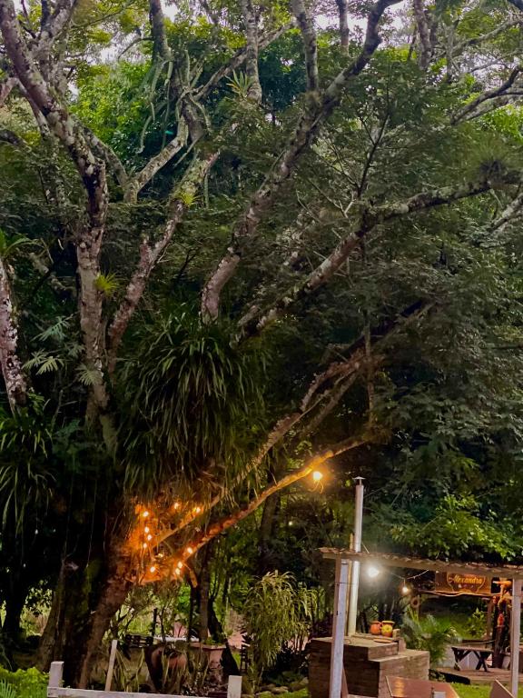 Zahrada ubytování finca del Río Copan