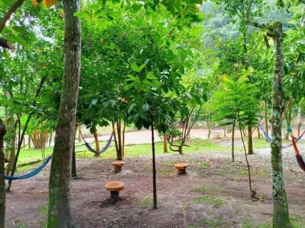 Zahrada ubytování finca del Río Copan