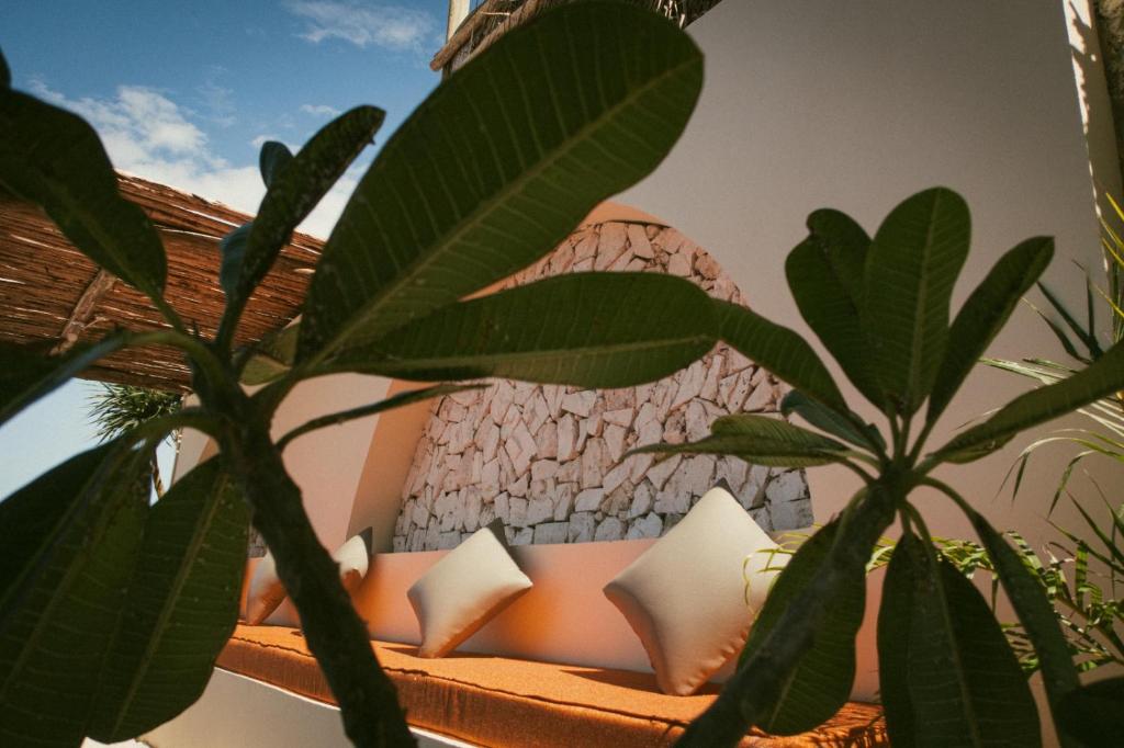 Zahrada ubytování Mia Boutique Hotel