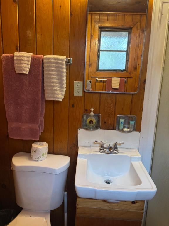 Hidden Rest Cabins and Resort - Suite Con Bañera De Hidromasaje