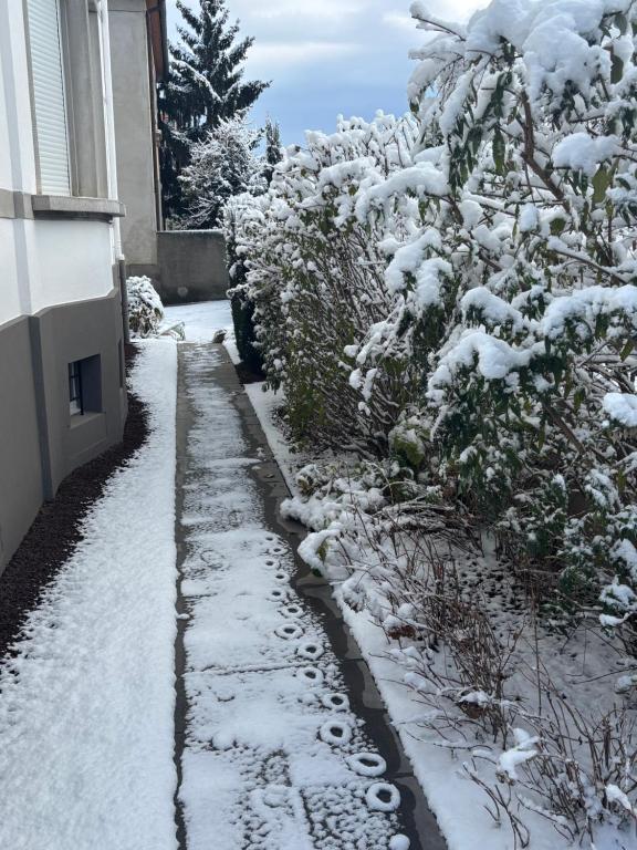 Appartement de Prestige au centre climatisé avec jardin privé – photo 25