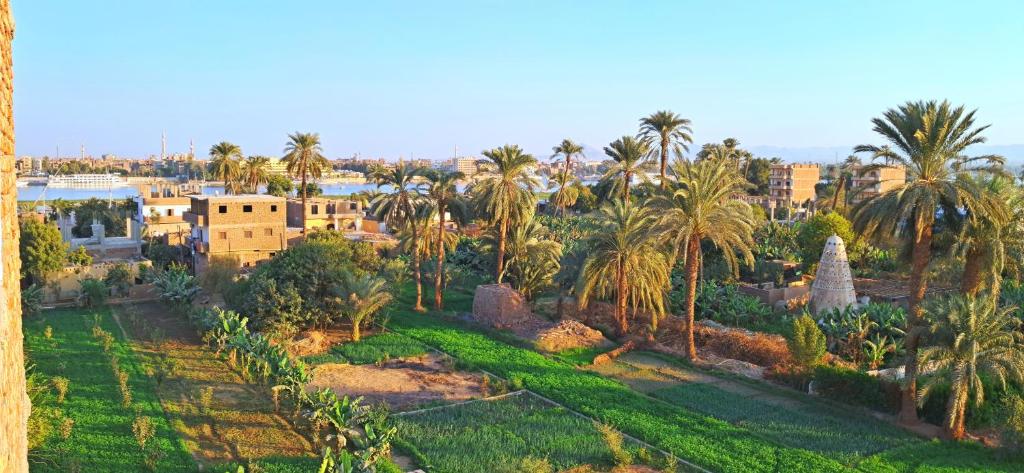 Fotografie z fotogalerie ubytování Blue Jorf Apartments v destinaci Luxor