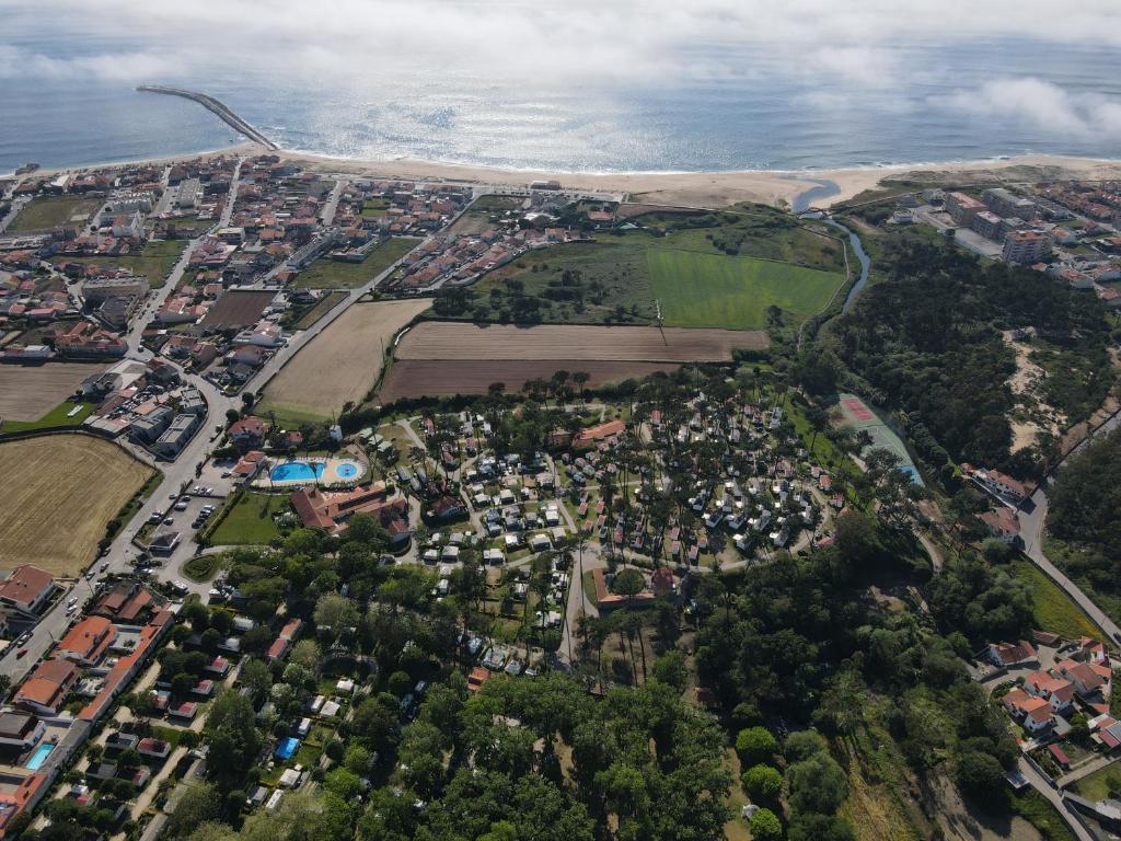 Příroda nedaleko kempu