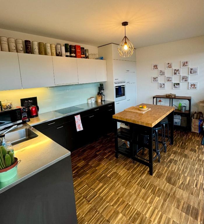 Penthouse 5 Room Duplex 3 Terraces, Near Center and Rhine - Resim 4