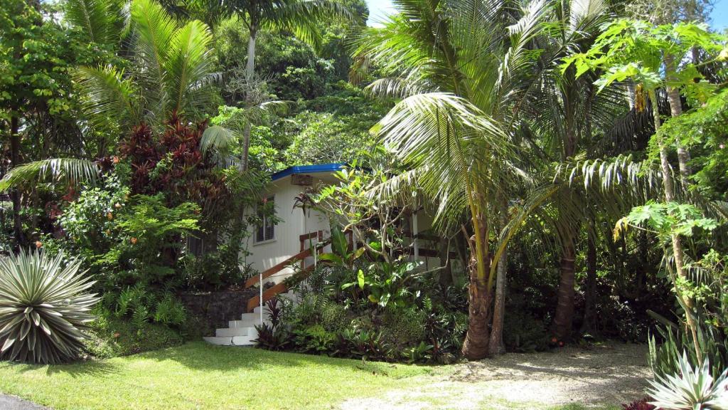 a house in the middle of a garden with palm trees at Coral Motel & Apartments in Port Vila