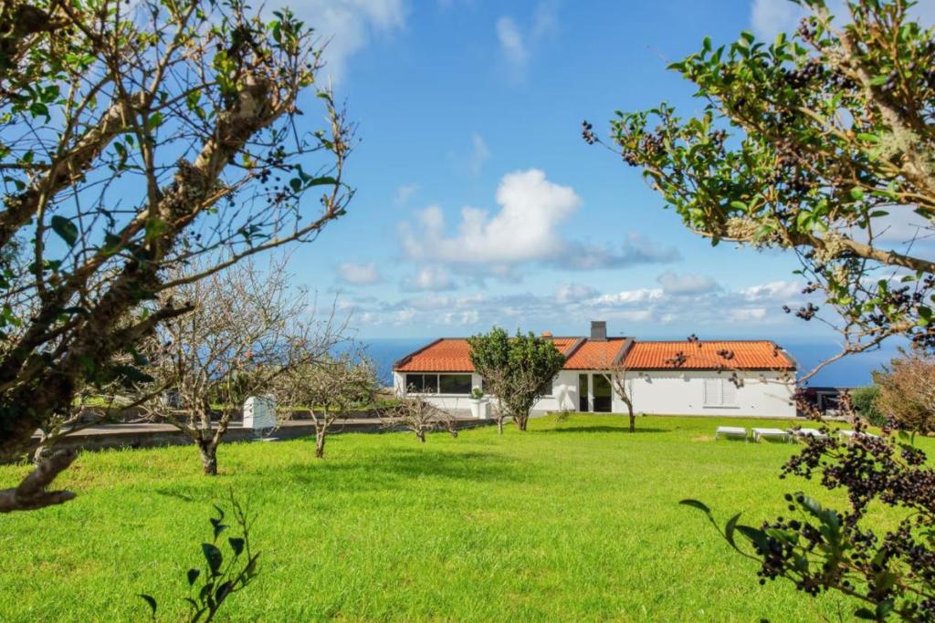a house in a field with a green yard at Quintinha das Achadas in Achadas da Cruz