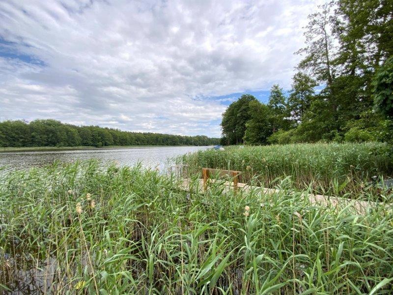 a field of tall grass next to a body of water at Haus am See in Lindow