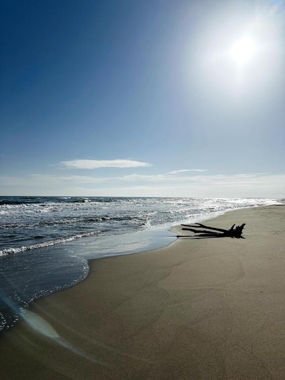 une plage de sable avec l'océan en arrière-plan dans l'établissement Appartement 4 personnes à 50 m de la plage, à Narbonne