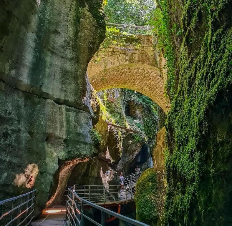 Příroda nedaleko apartmánu