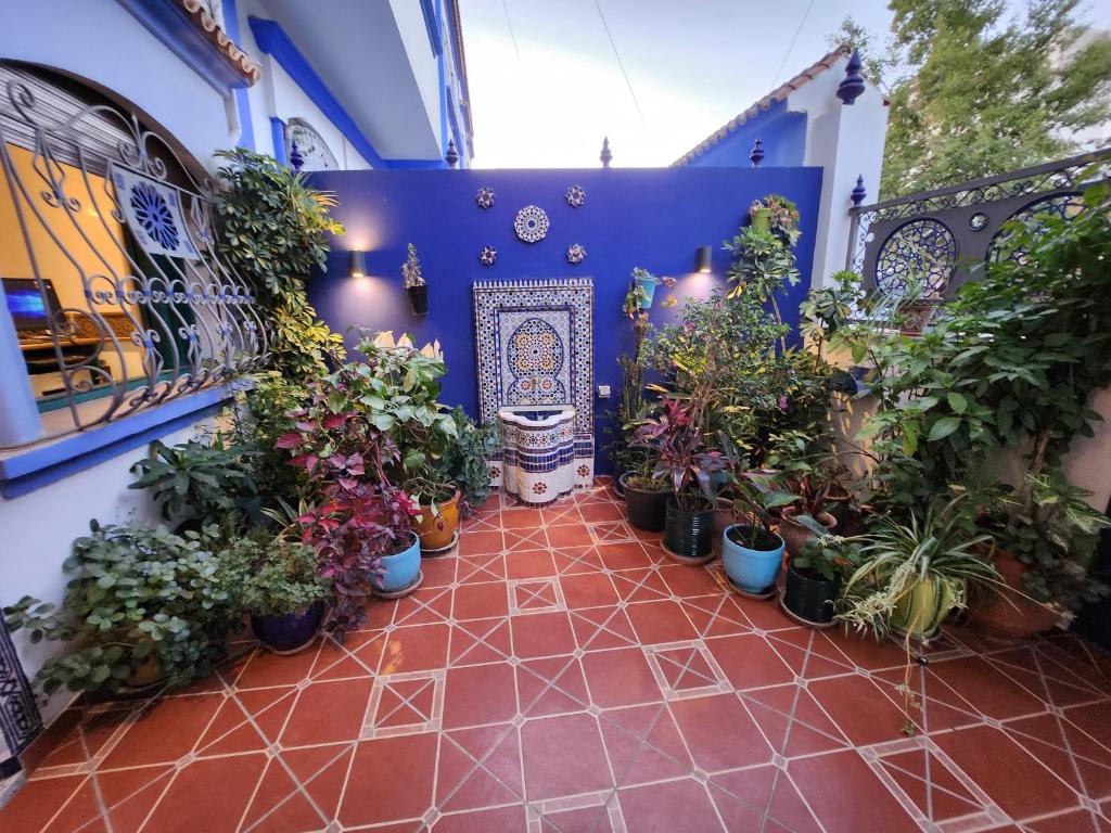 حديقة خارج Riad Azemmat