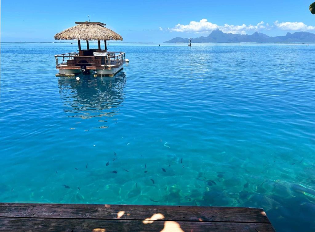 Moana Waterfront Bungalow - photo 9 - Tahiti, Polynésie