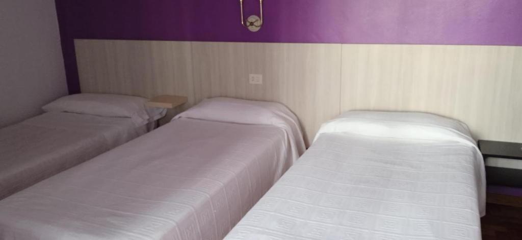Łóżko lub łóżka w pokoju w obiekcie Hotel Solpor