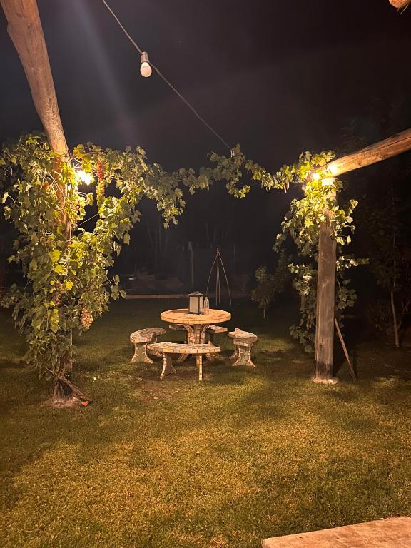 Aed väljaspool majutusasutust Posada Via Vento - Chacras de Coria