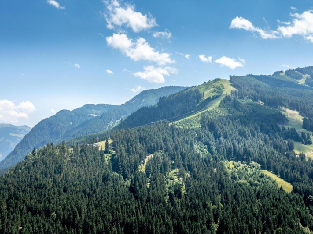 Príroda v okolí apartmánu