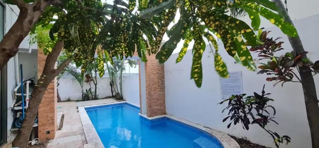 a pool with a tree in front of a building at Casa La Ceiba in Cancún
