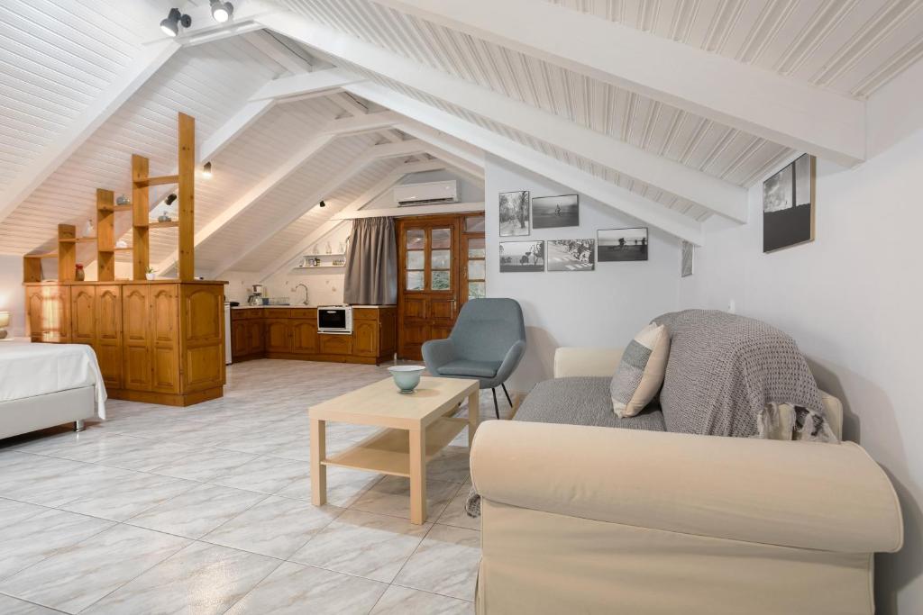 a living room with a couch and a table at Photographer's Apartments in Alikanas