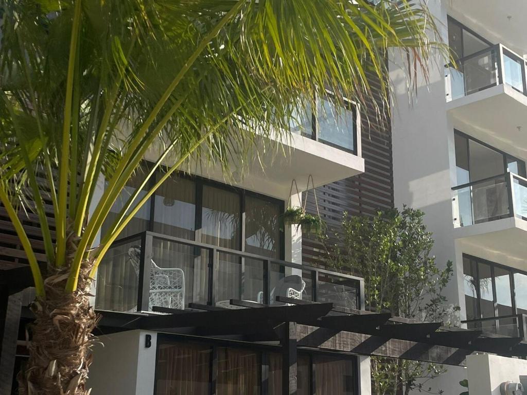 a palm tree in front of a building at Marbella in San Felipe de Puerto Plata