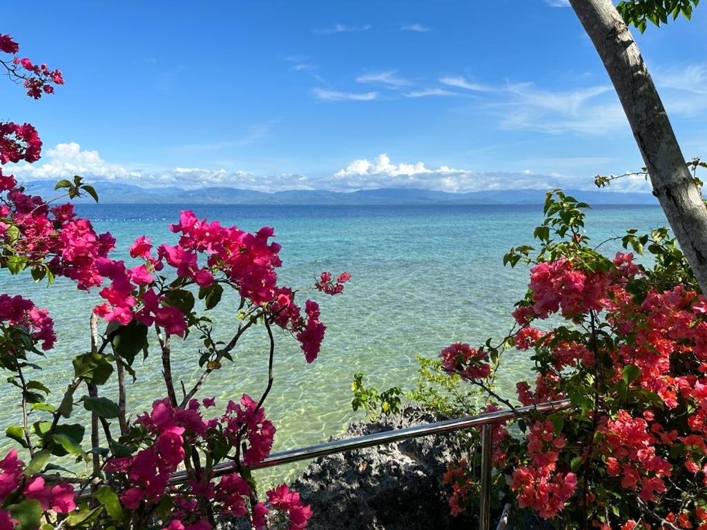 Paesaggio naturale nelle vicinanze del bed & breakfast