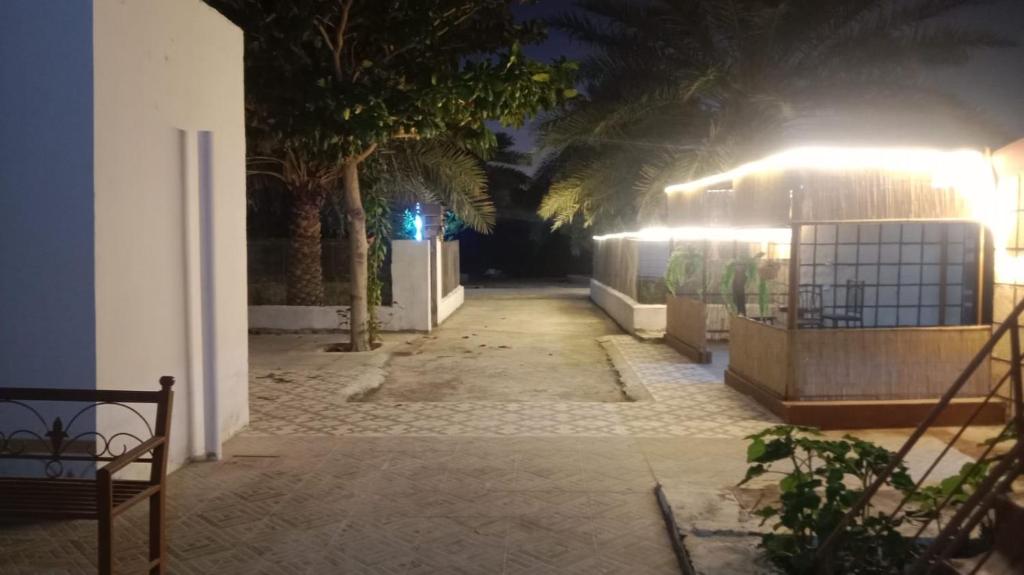 Fotografie z fotogalerie ubytování مزرعة نحل العسل v destinaci Khaḑrāʼ Bin Daffā‘