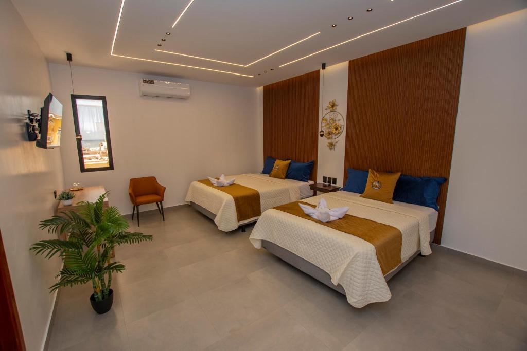 Postel nebo postele na pokoji v ubytování Blue Marlin Galápagos, Hotel & SPA