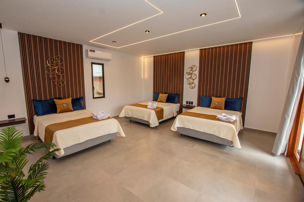 Postel nebo postele na pokoji v ubytování Blue Marlin Galápagos, Hotel & SPA