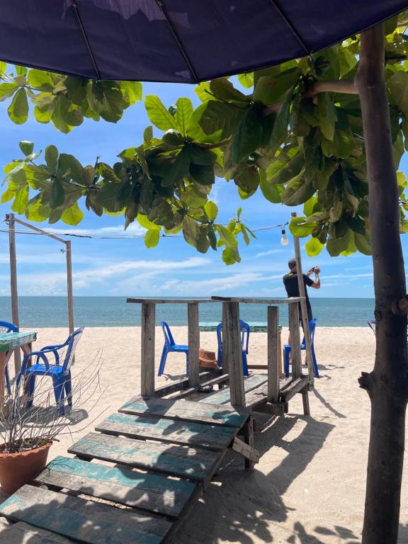 Naturlandskabet i nærheden af lejligheden