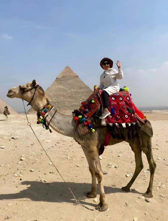 Hosté ubytování Pharaohs Oasis Hotel