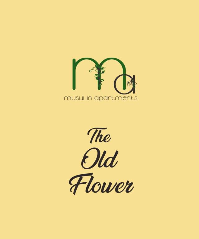 Gambar di galeri bagi The Old Flower di Gheorgheni