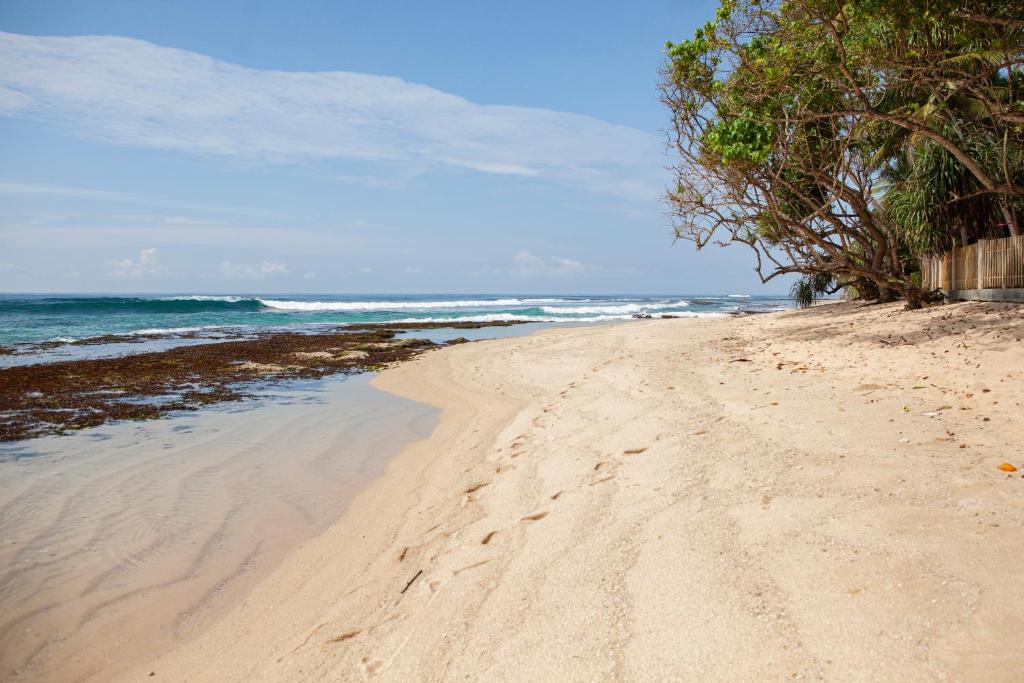 Příroda nedaleko vily