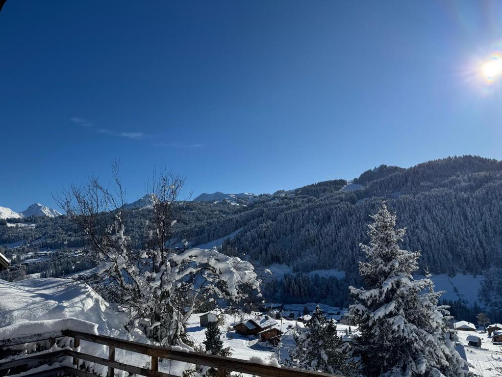 een uitzicht op een met sneeuw bedekte berg met een dennenboom bij Chalet Cosy Les Gets Vue Montagne in Les Gets