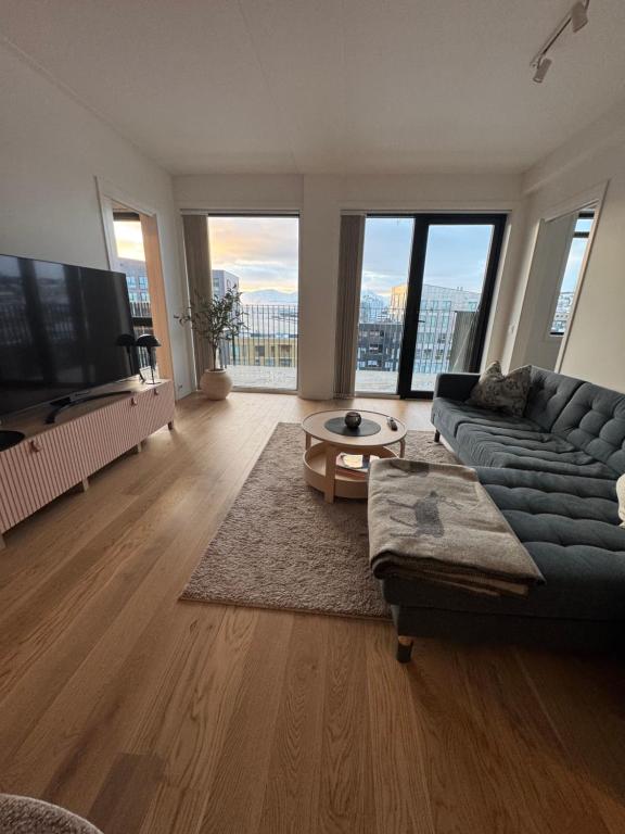 Μια τηλεόραση ή/και κέντρο ψυχαγωγίας στο The Arctic Explorer Exclusive