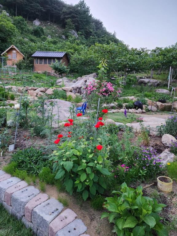 Zahrada ubytování 구례 아진이뜰 1층 전체, Gurye Ajini Garden entire first floor