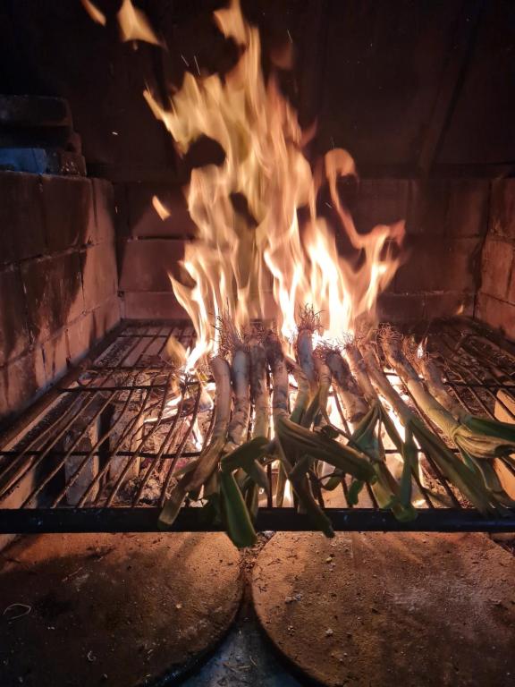 Gril pre hostí v penzióne